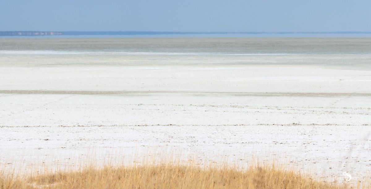 10 etosha