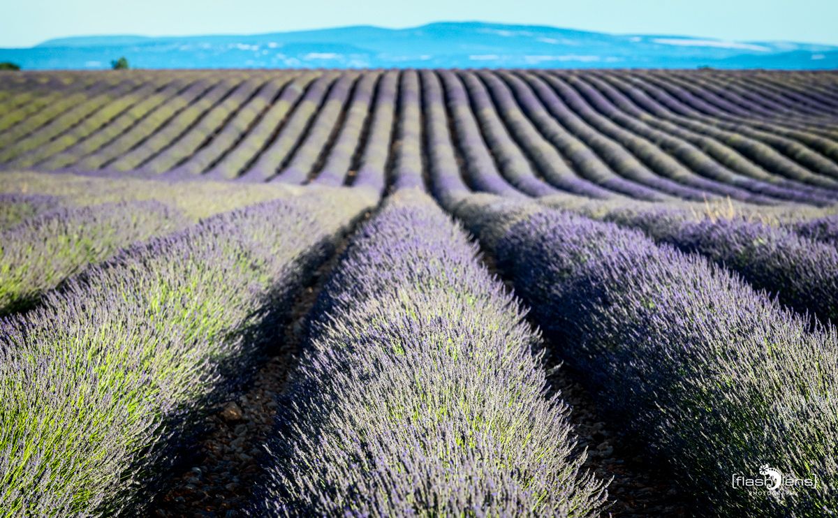 provence 2022