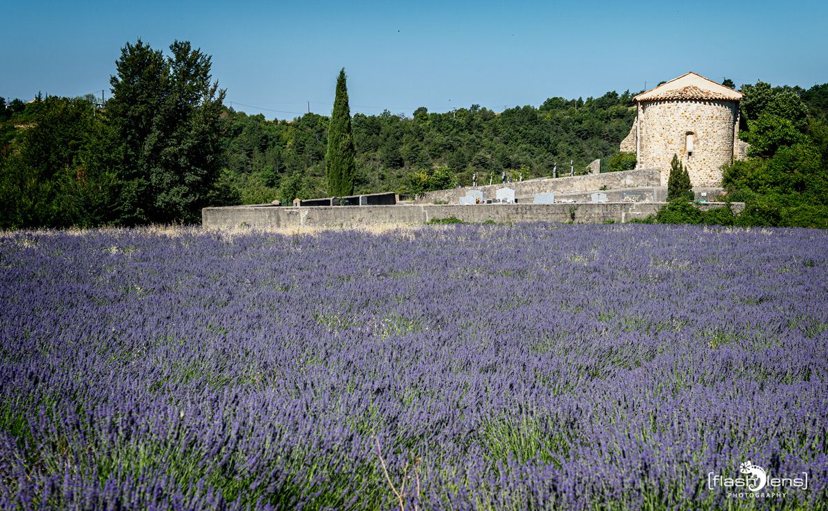 provence 2022