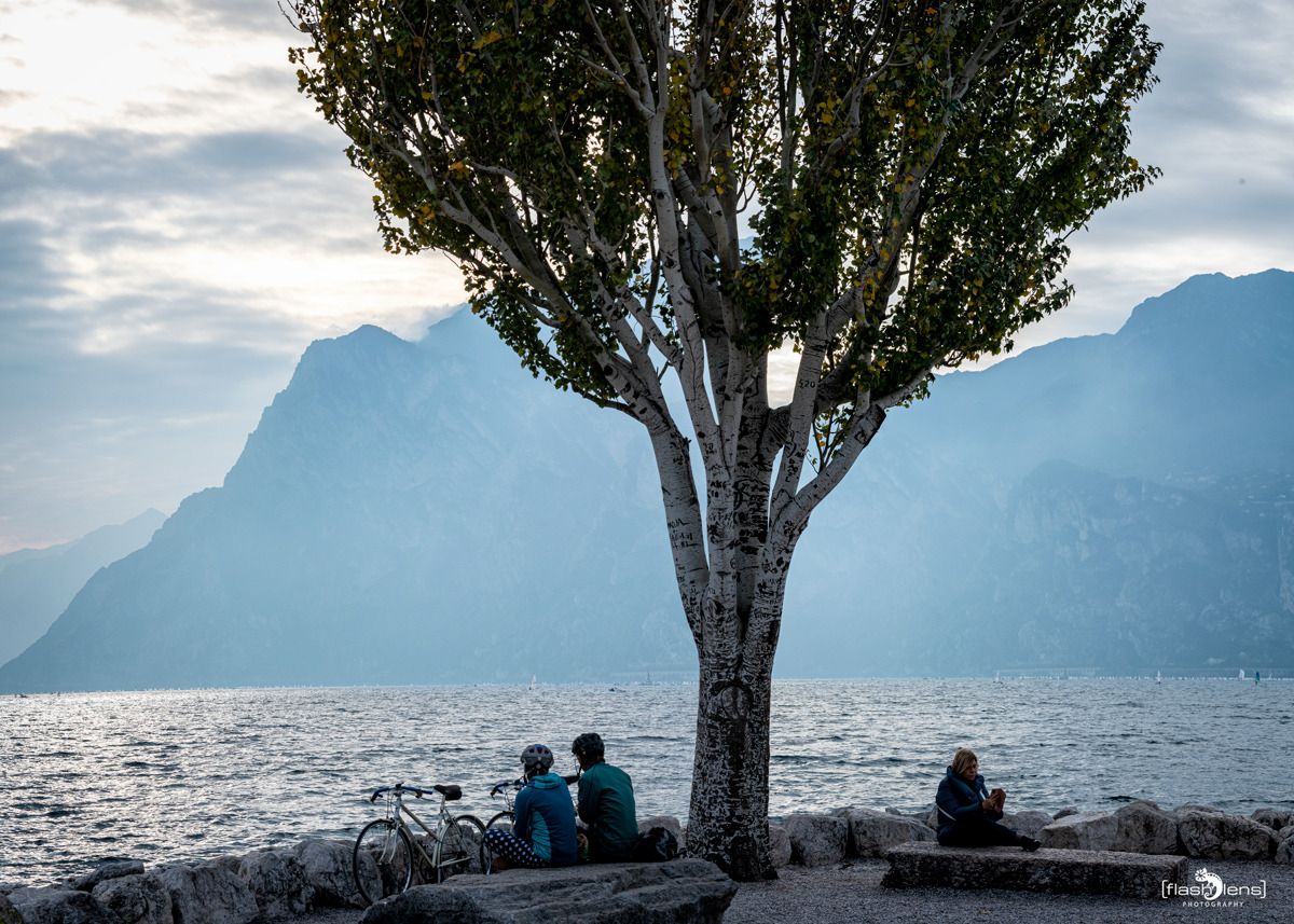 gardasee
