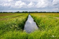 giethoorn