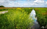 giethoorn