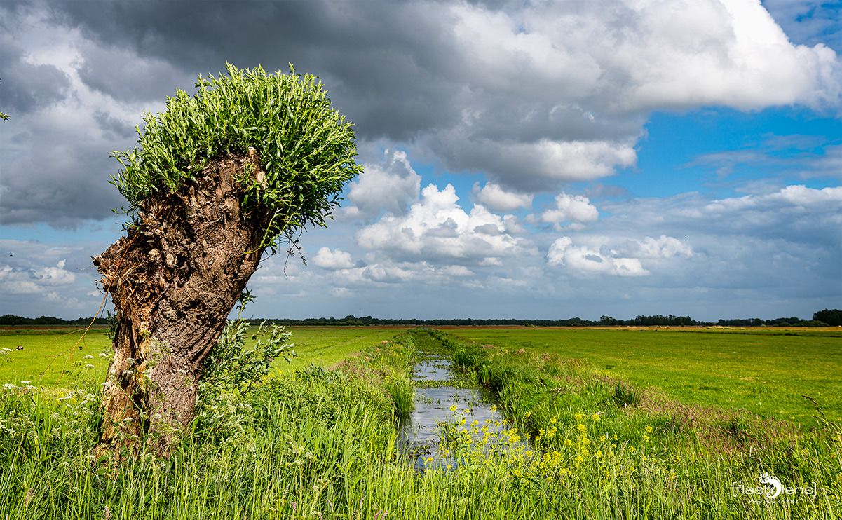 giethoorn