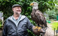 falknerei bergisch land greifvoegel portraits