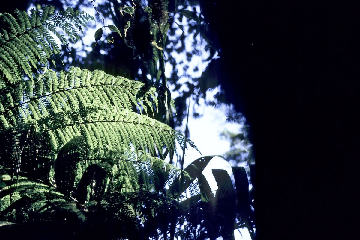 guatemala 1991