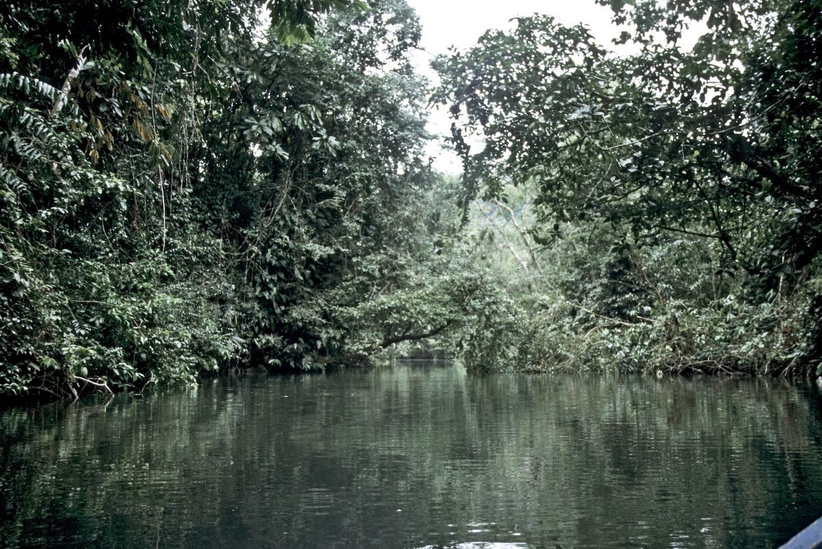 guatemala 1991