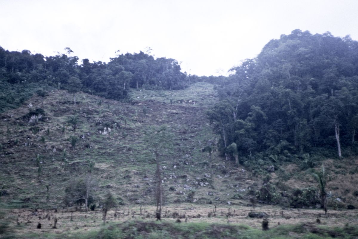 guatemala 1991
