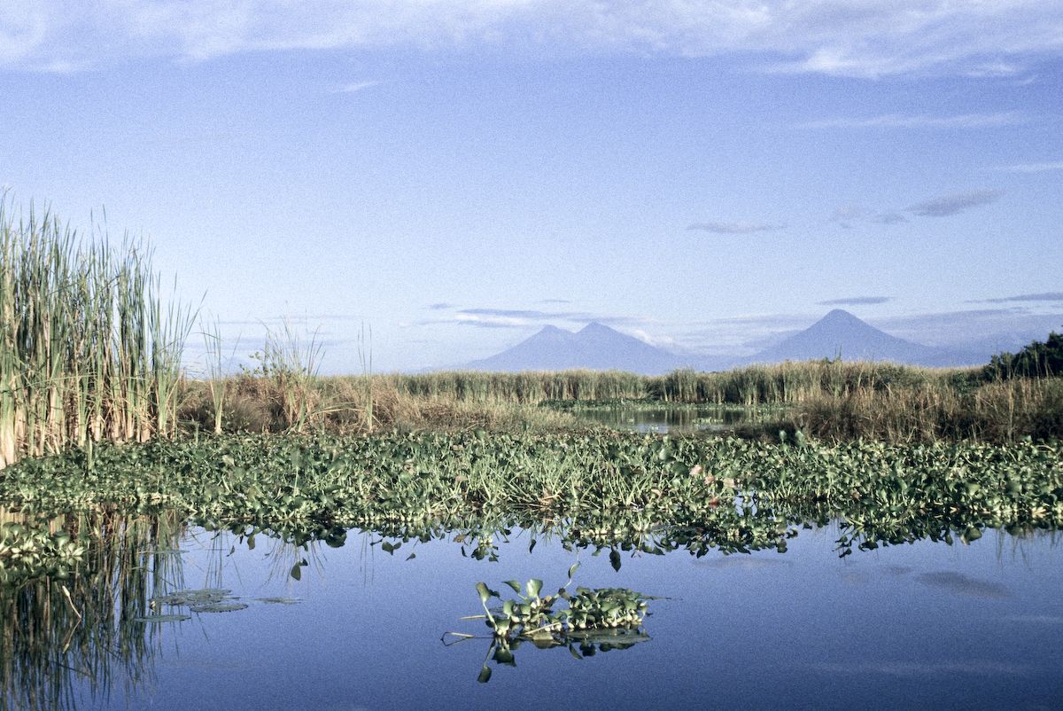 guatemala 1991