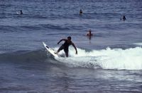 bali 1995
