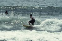 bali 1995