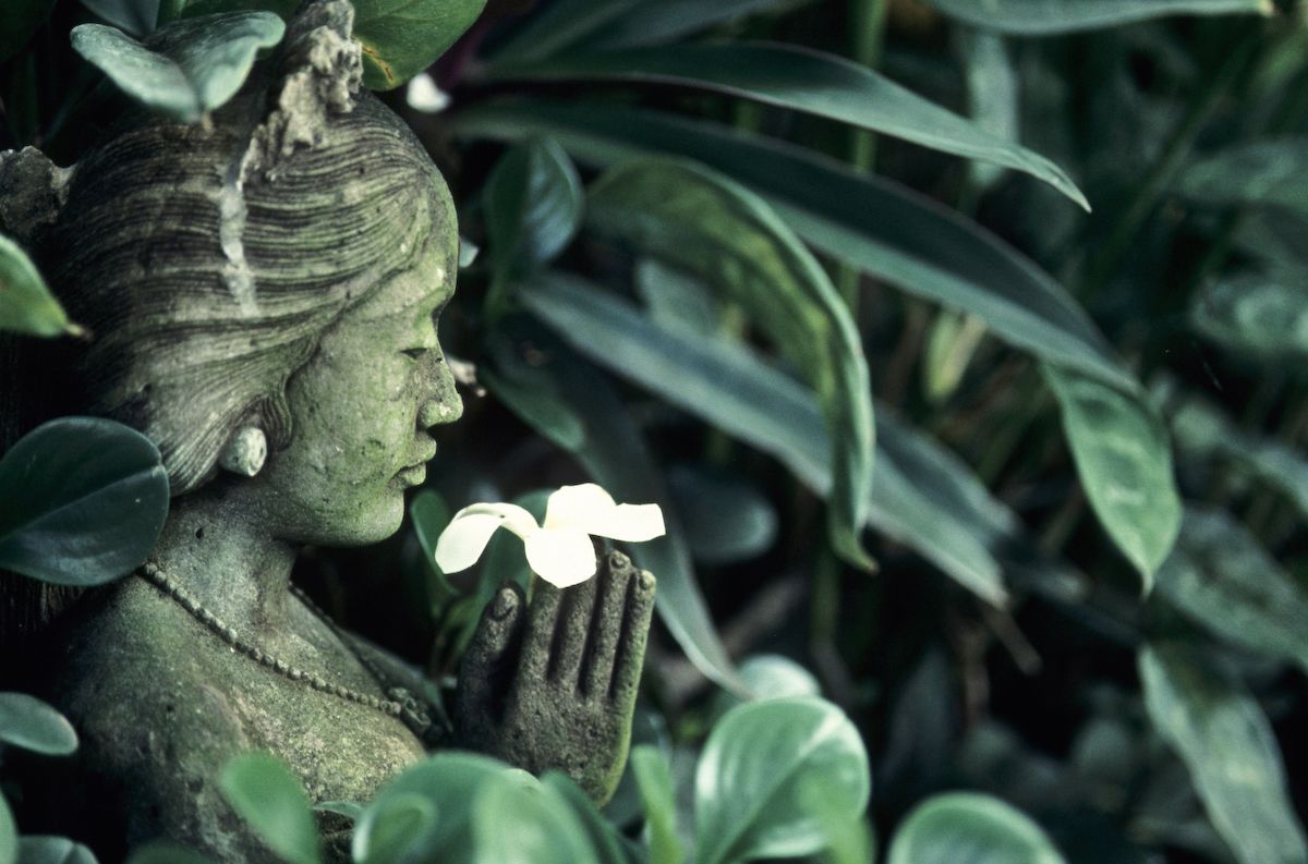 bali 1995