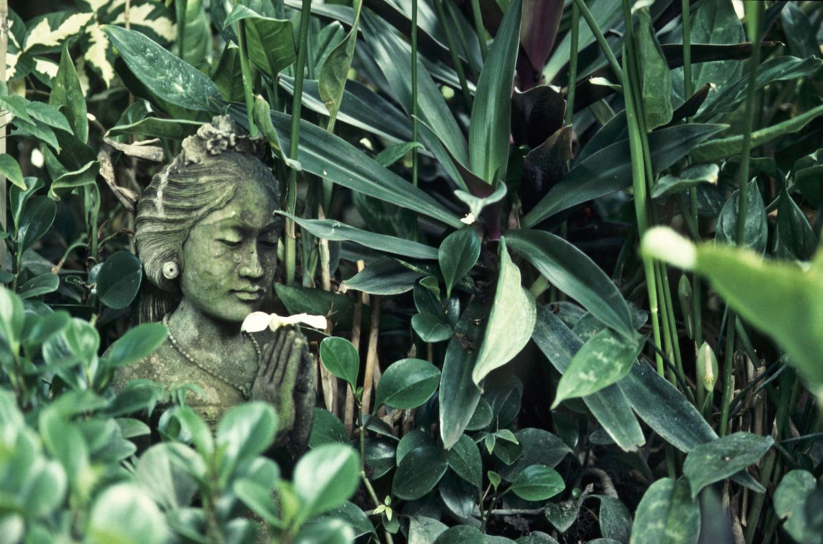 bali 1995