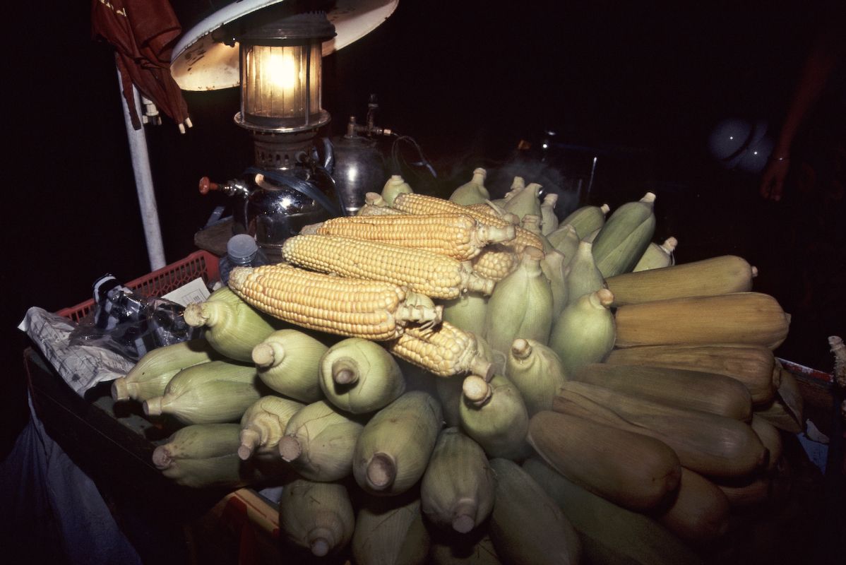 bali 1995