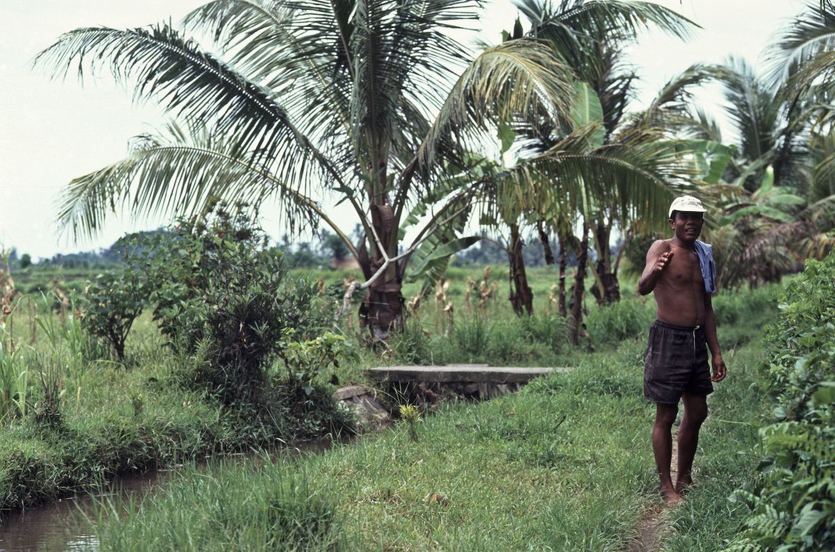 bali 1995