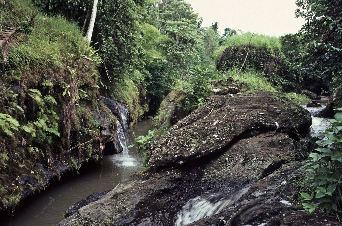 bali 1995