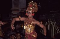 bali 1995