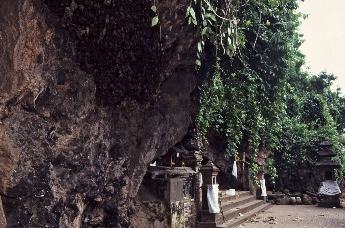 bali 1995