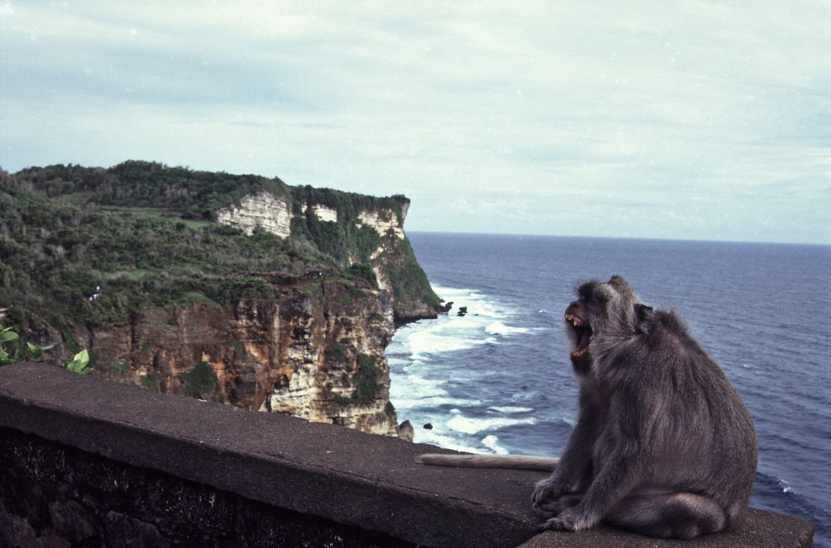bali 1995