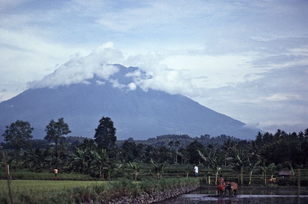 bali 1995