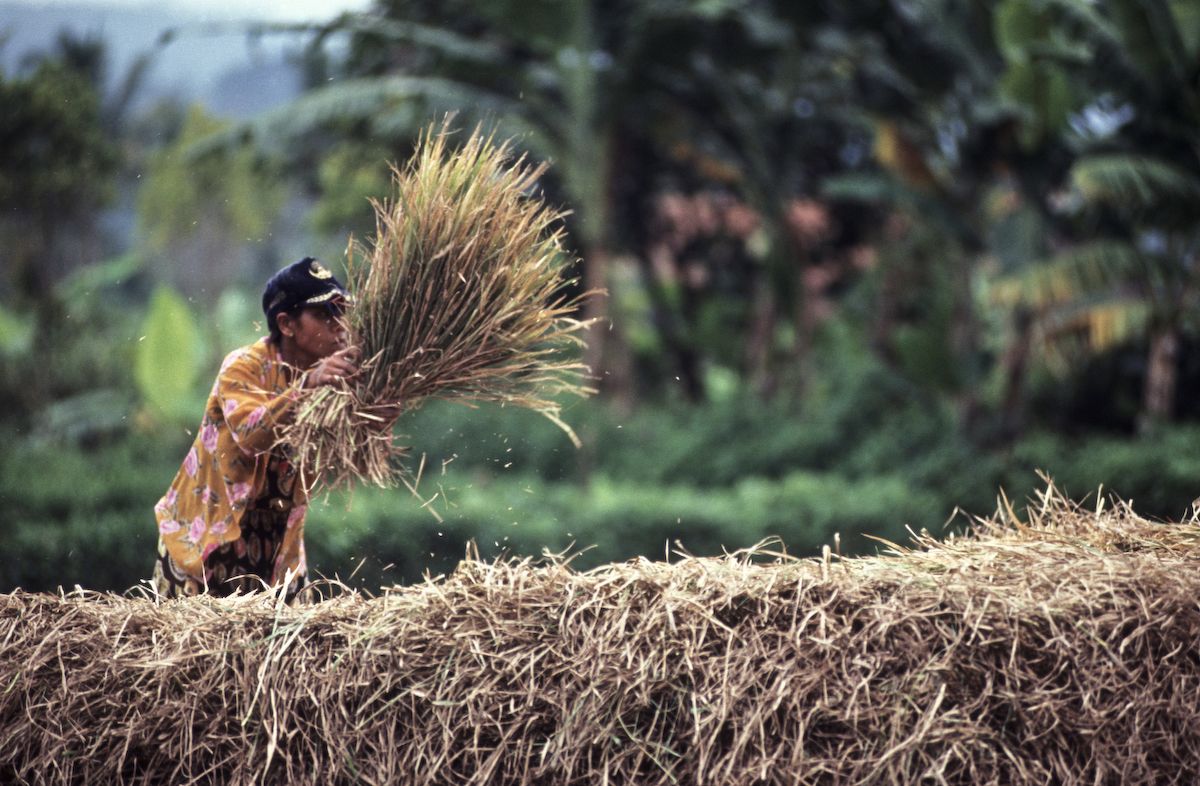 bali 1995