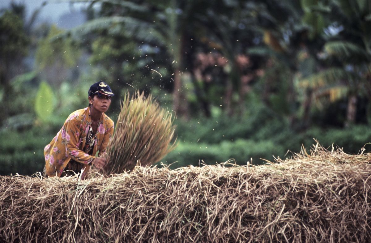 bali 1995