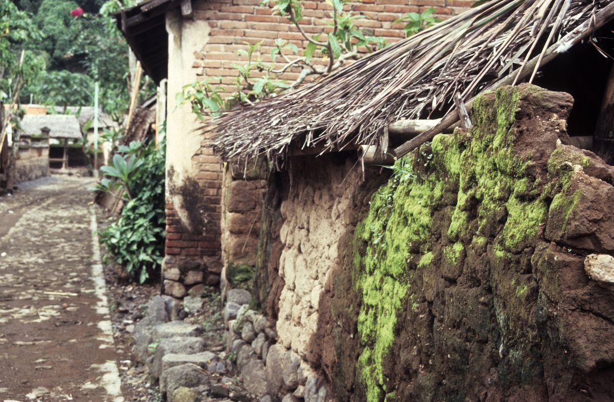 bali 1995