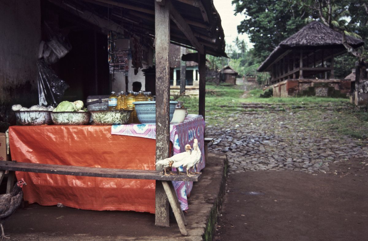 bali 1995