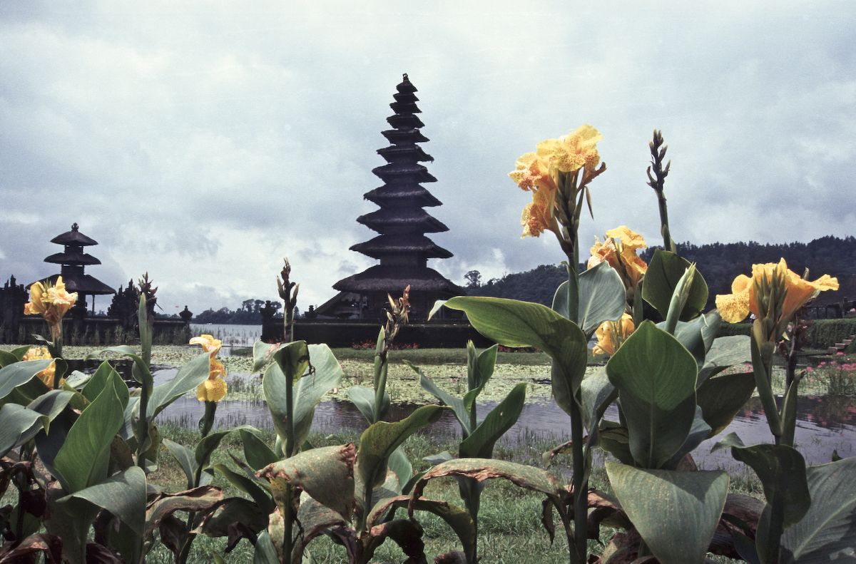 bali5