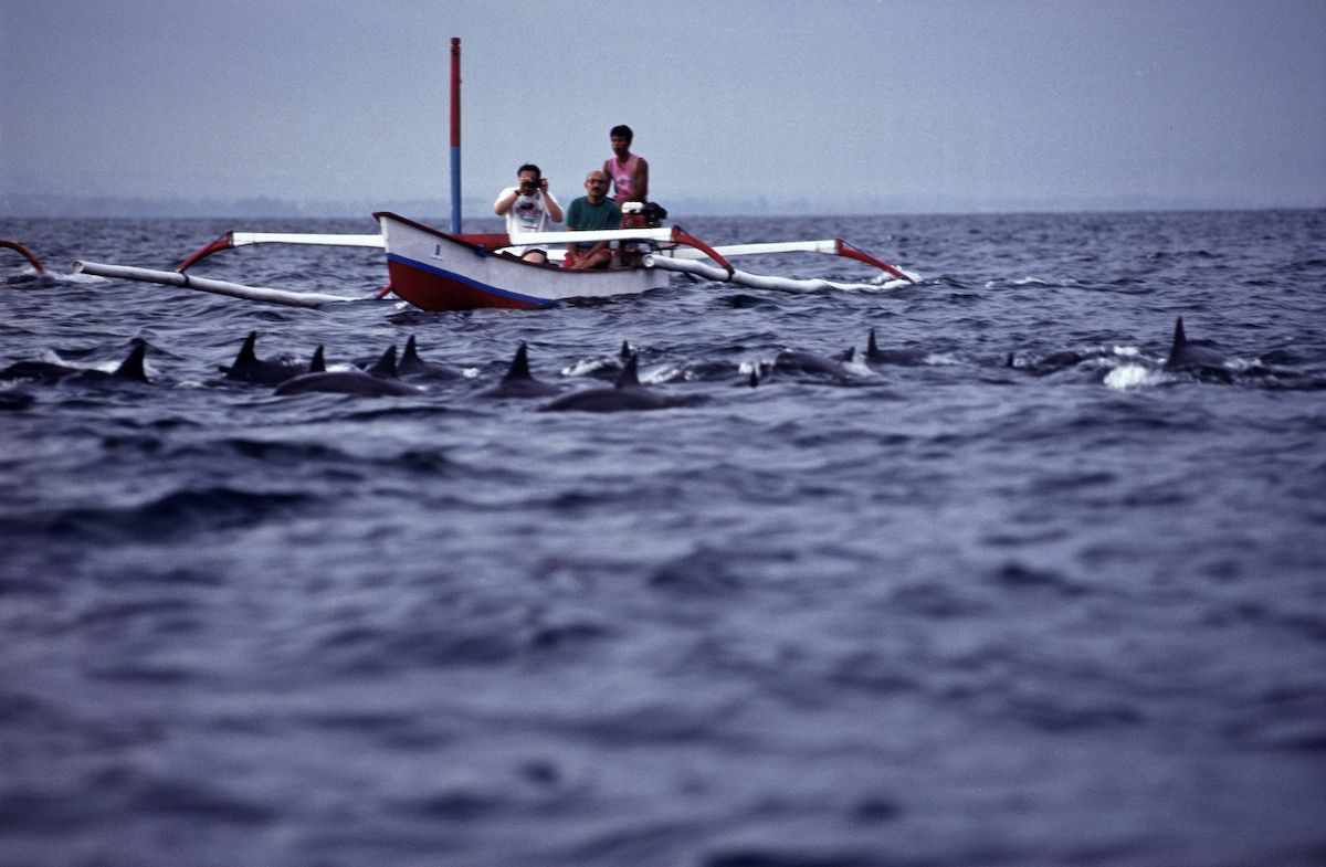 bali 1995