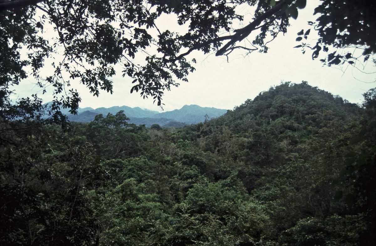 bali 1995