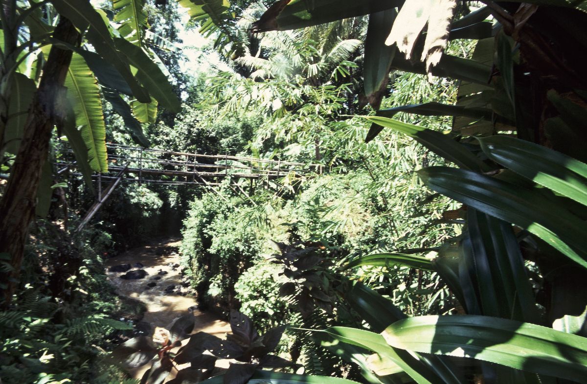 bali 1995