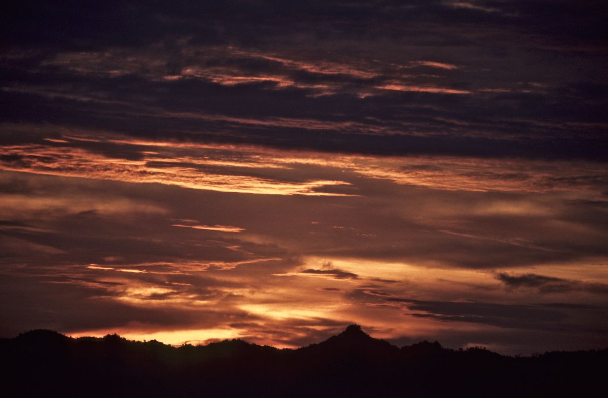 bali 1995