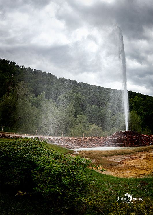 geysir andernach