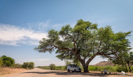 Kalahari Transfrontier Park