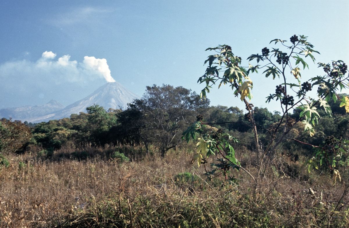 mexiko 1999