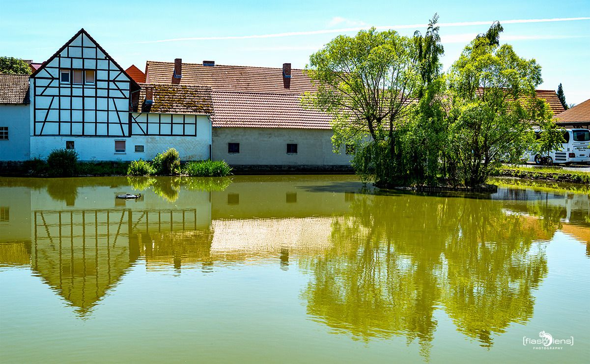mohnfbluete germerode
