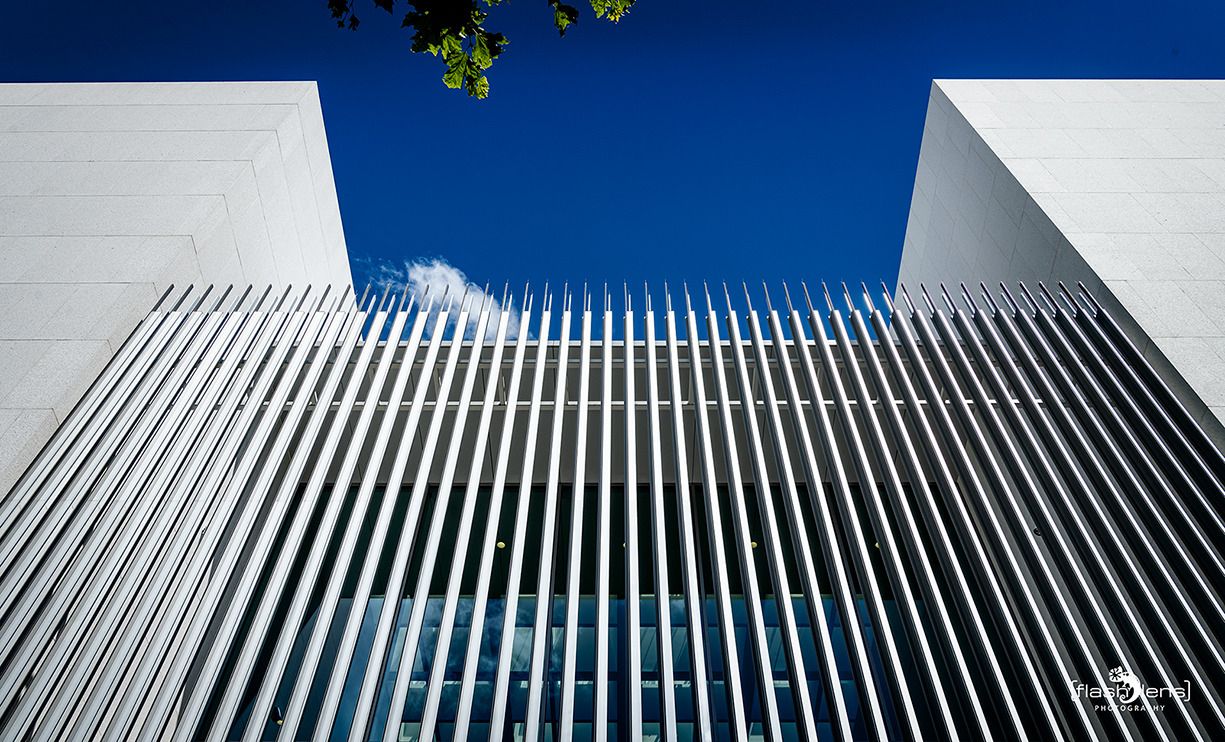 museum reinhard ernst