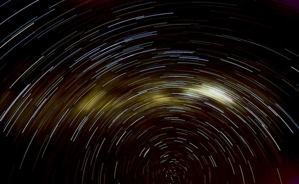 04 quivertree forest