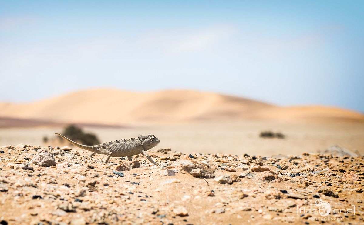 03 swakopmund