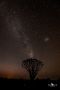 04 quivertree 04 quivertree