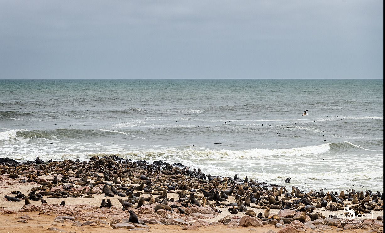 08 swakopmund