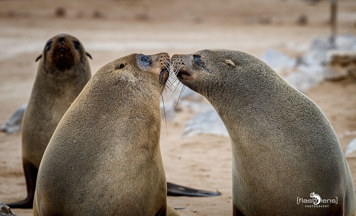 08 swakopmund