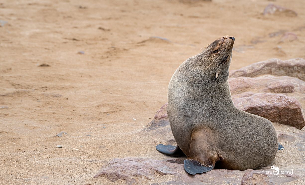 08 swakopmund