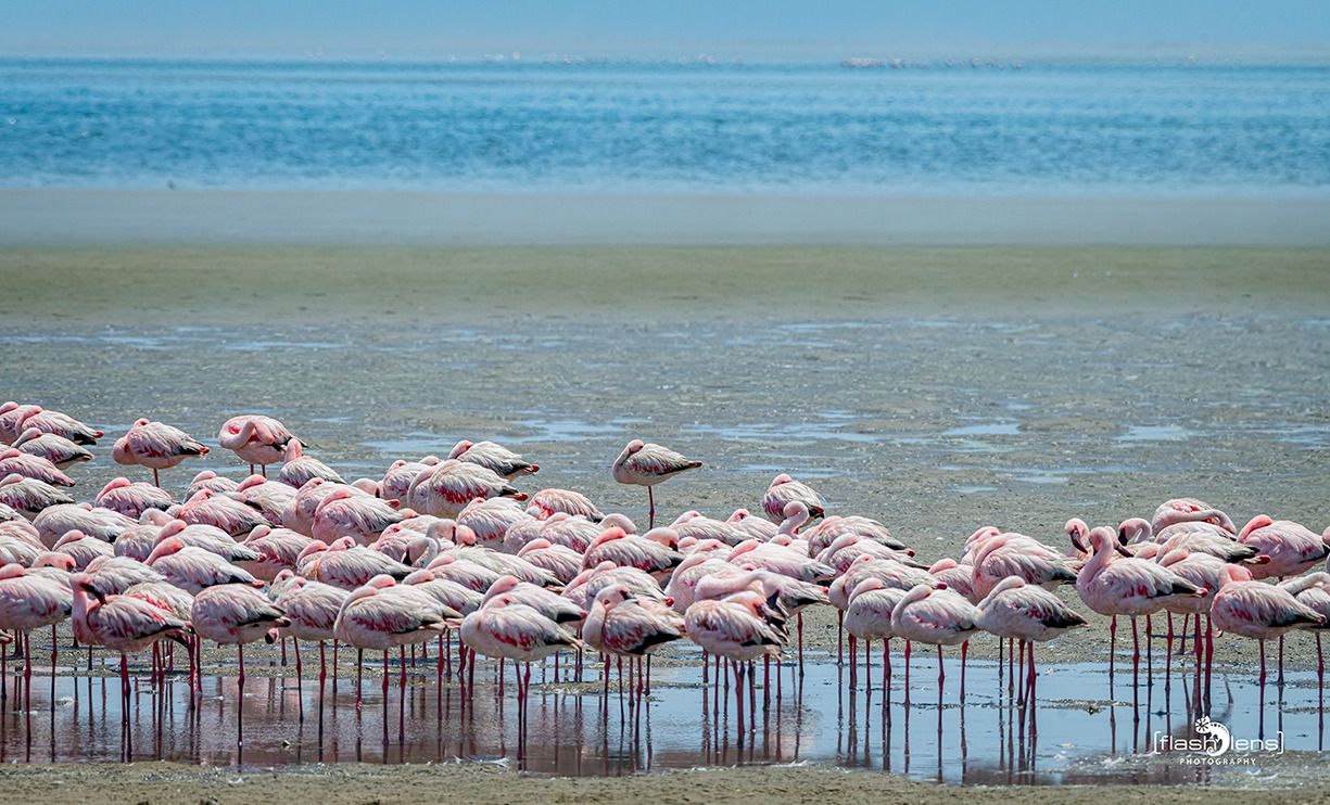 08 swakopmund