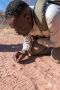 12 waterberg 12 waterberg