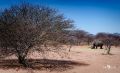 12 waterberg 12 waterberg