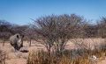 12 waterberg 12 waterberg