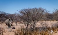 12 waterberg 12 waterberg