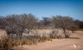 12 waterberg 12 waterberg