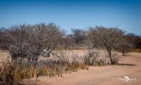 12 waterberg 12 waterberg